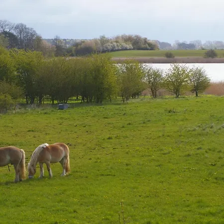 Apartment Schwalbennest