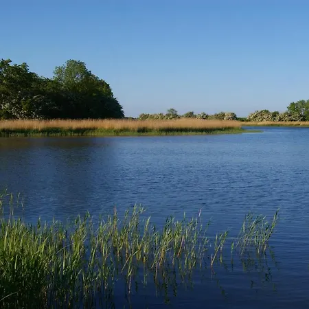 Schwalbennest Apartment *